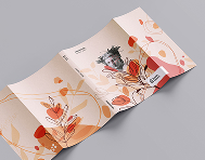Dust Jacket